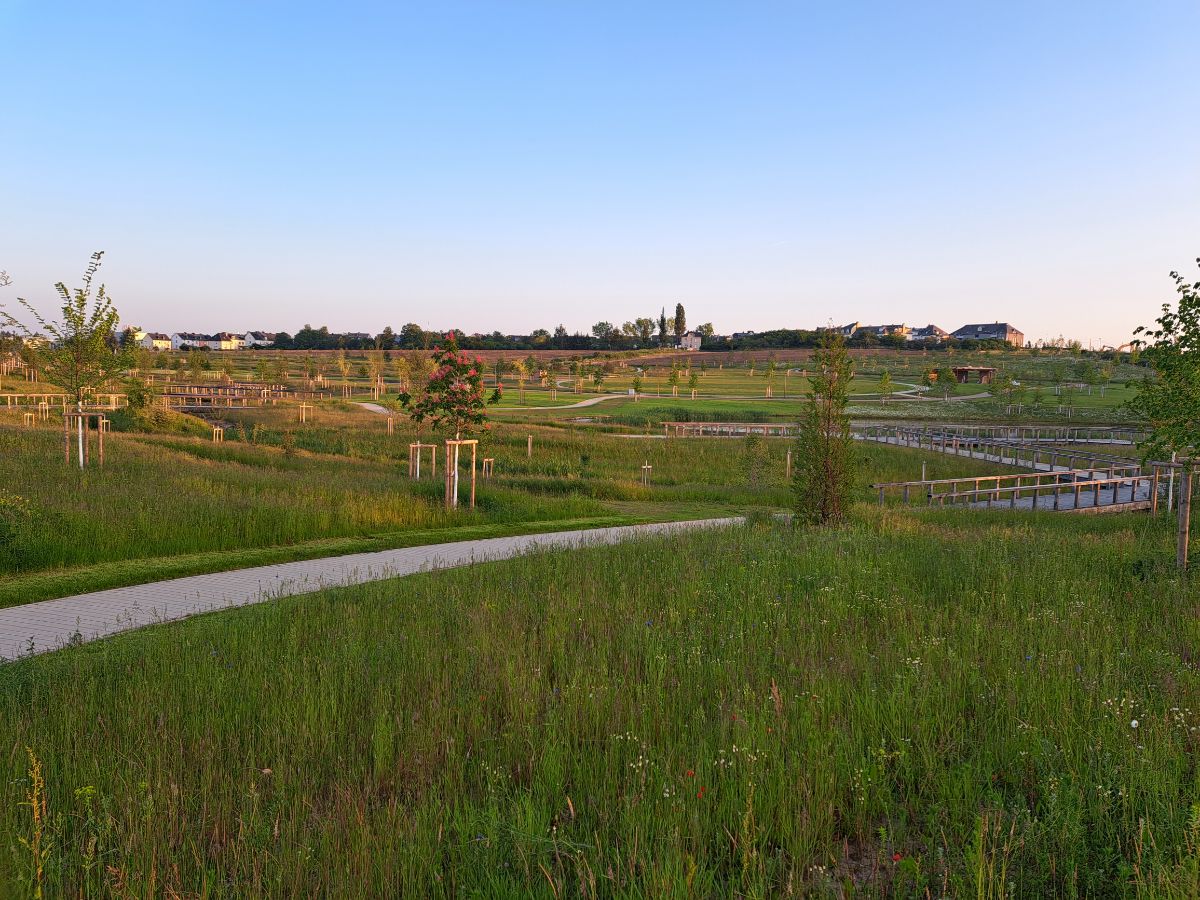 Aménagements paysagers