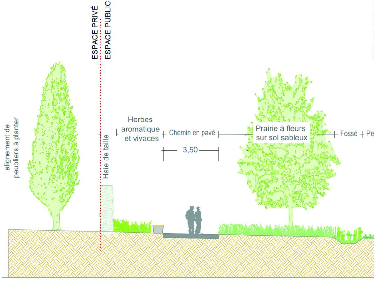 Planification territoriale - étude environnementale