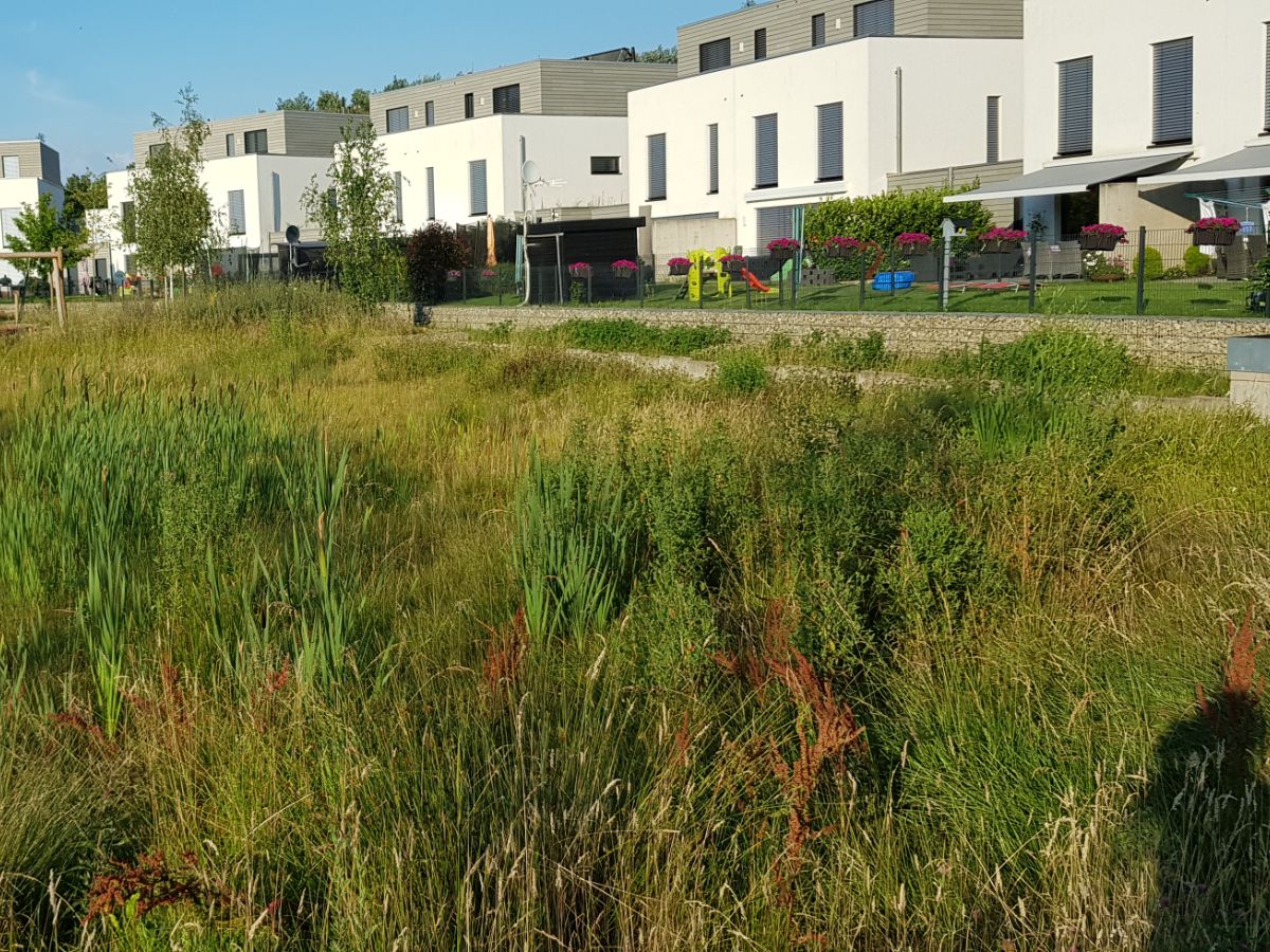 Planification territoriale - étude environnementale