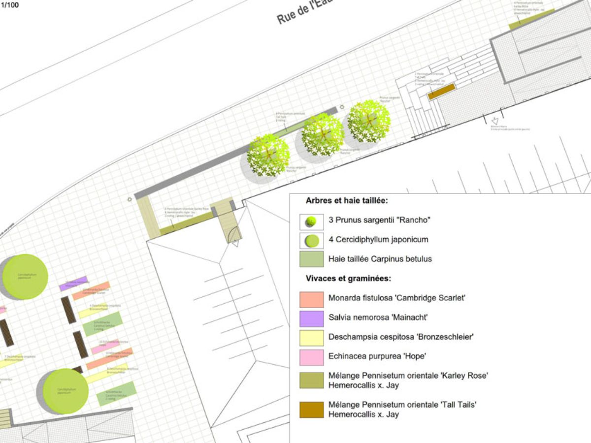Place de la mairie à Bascharage