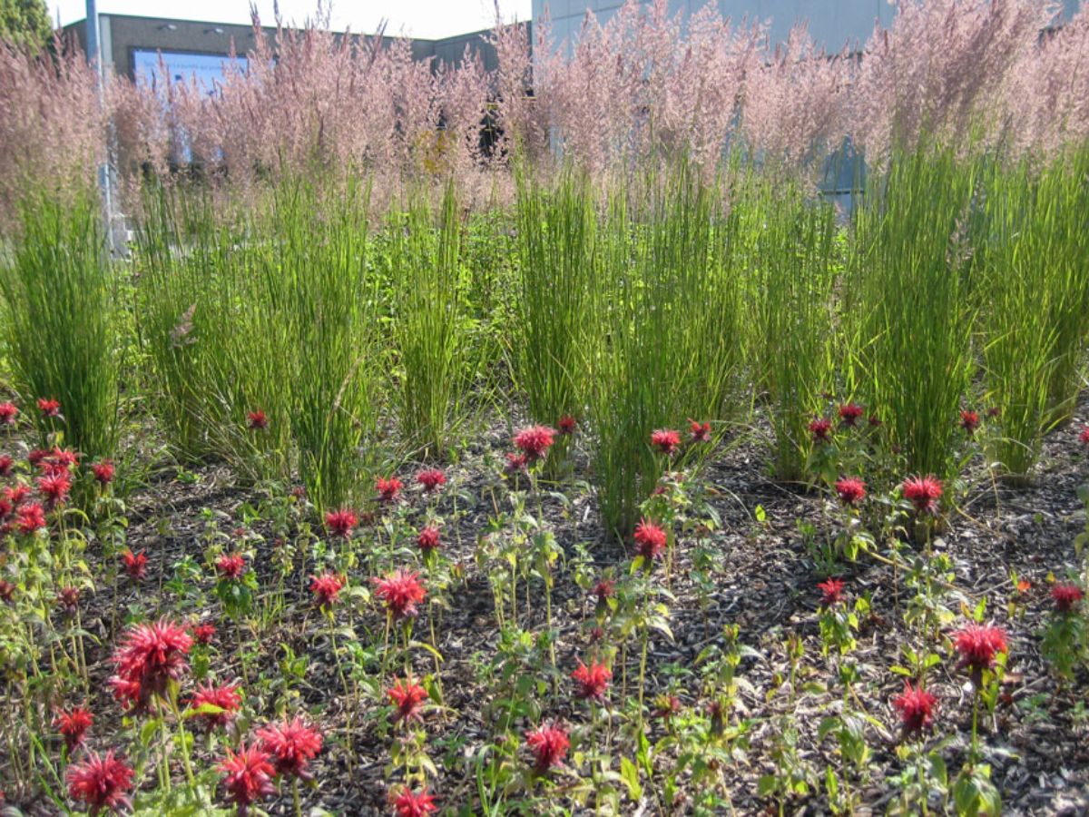 Centre commerciale Belle étoile Strassen