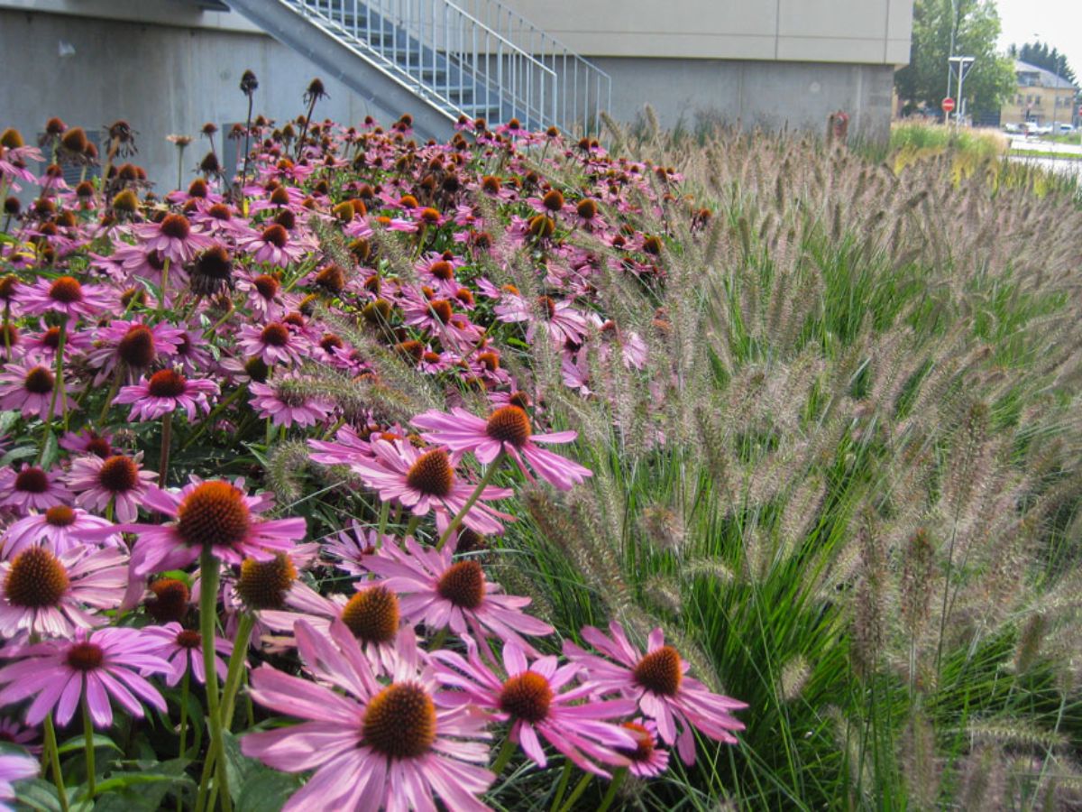 Centre commerciale Belle étoile Strassen