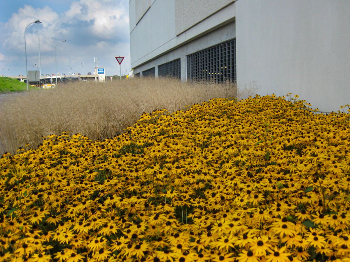 Centre commerciale Belle étoile Strassen