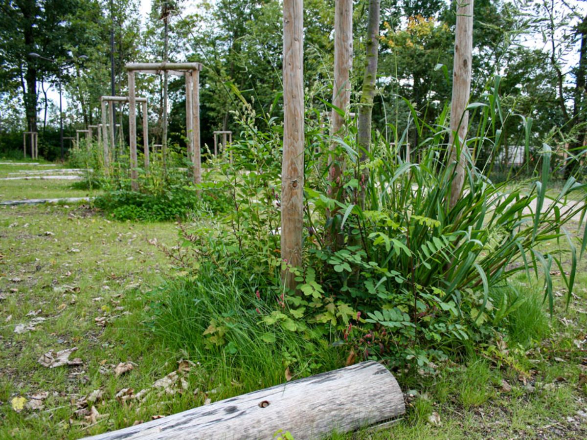 Parking écologique à Cessange