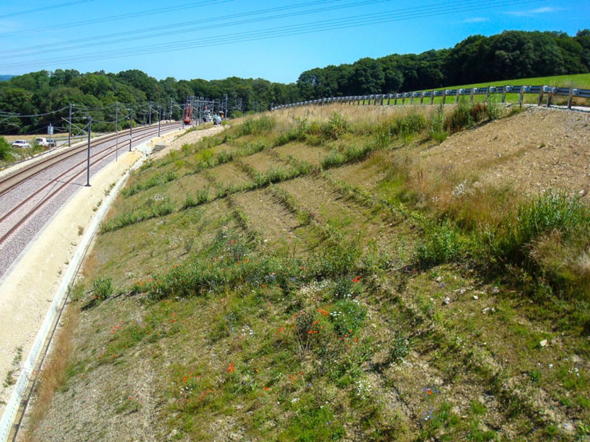 Ligne ferroviaire Pétange Luxembourg
