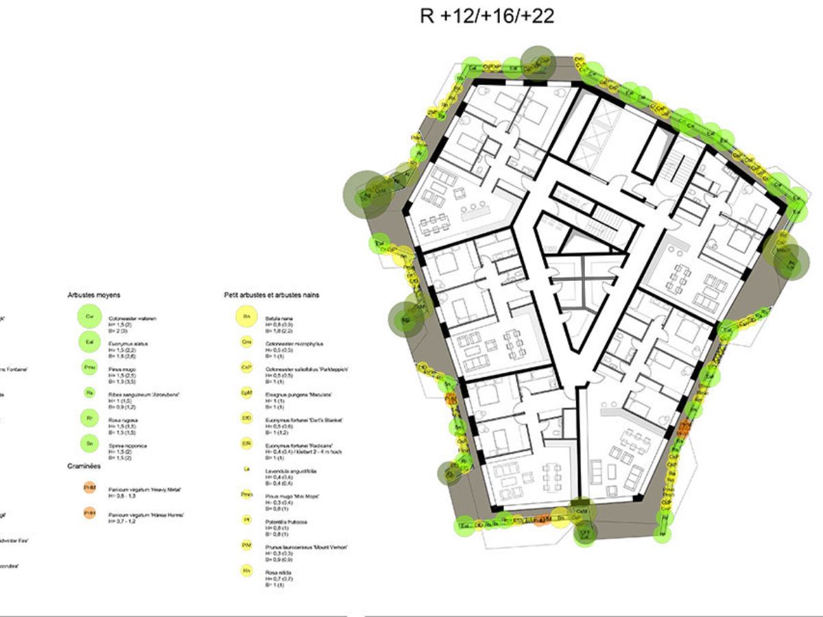 Urban Forest Differdange