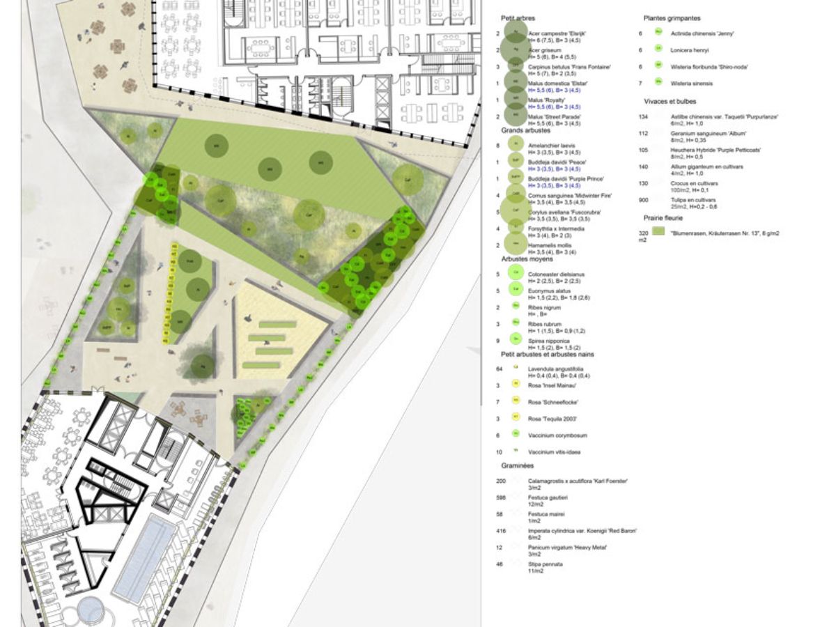 Urban Forest Differdange