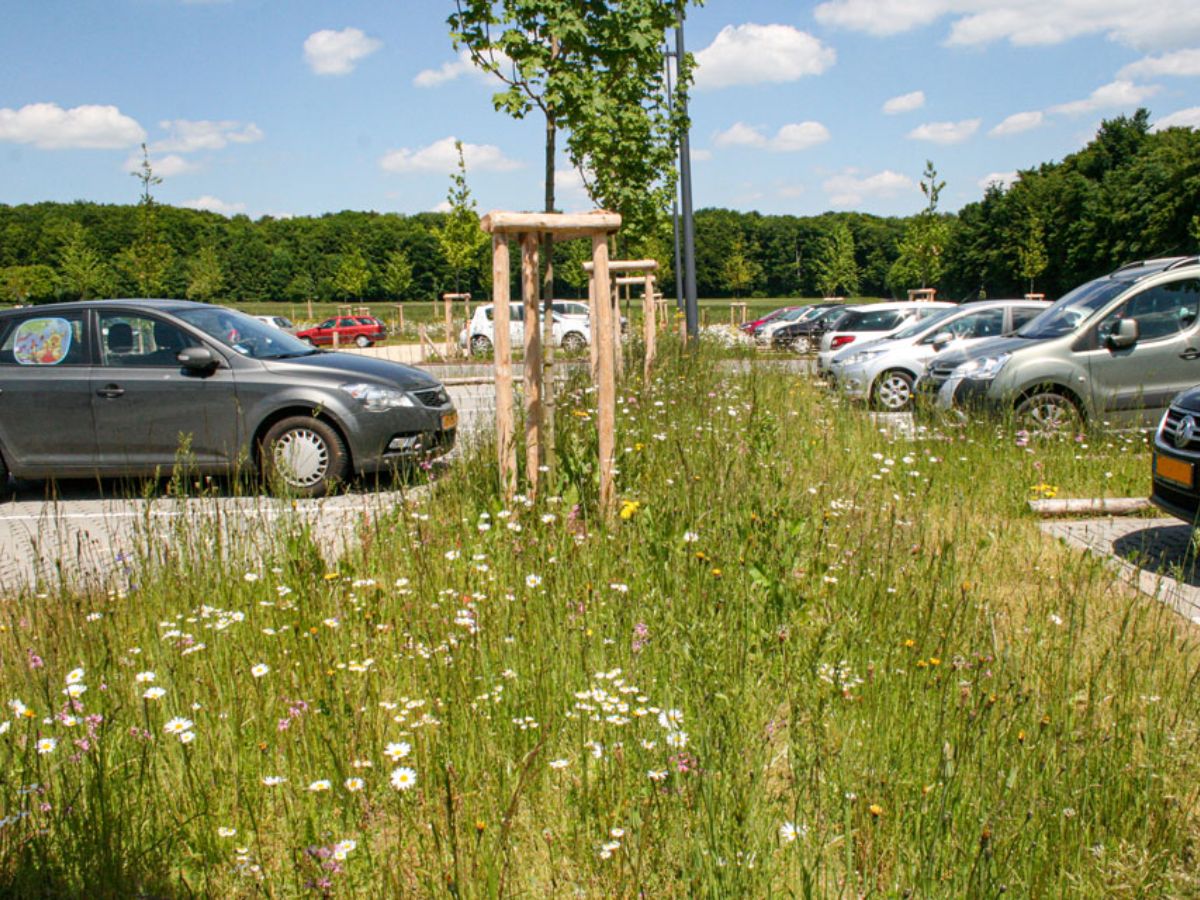 Centre commercial Cactus à Redange