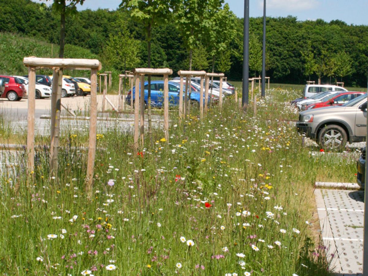 Centre commercial Cactus à Redange