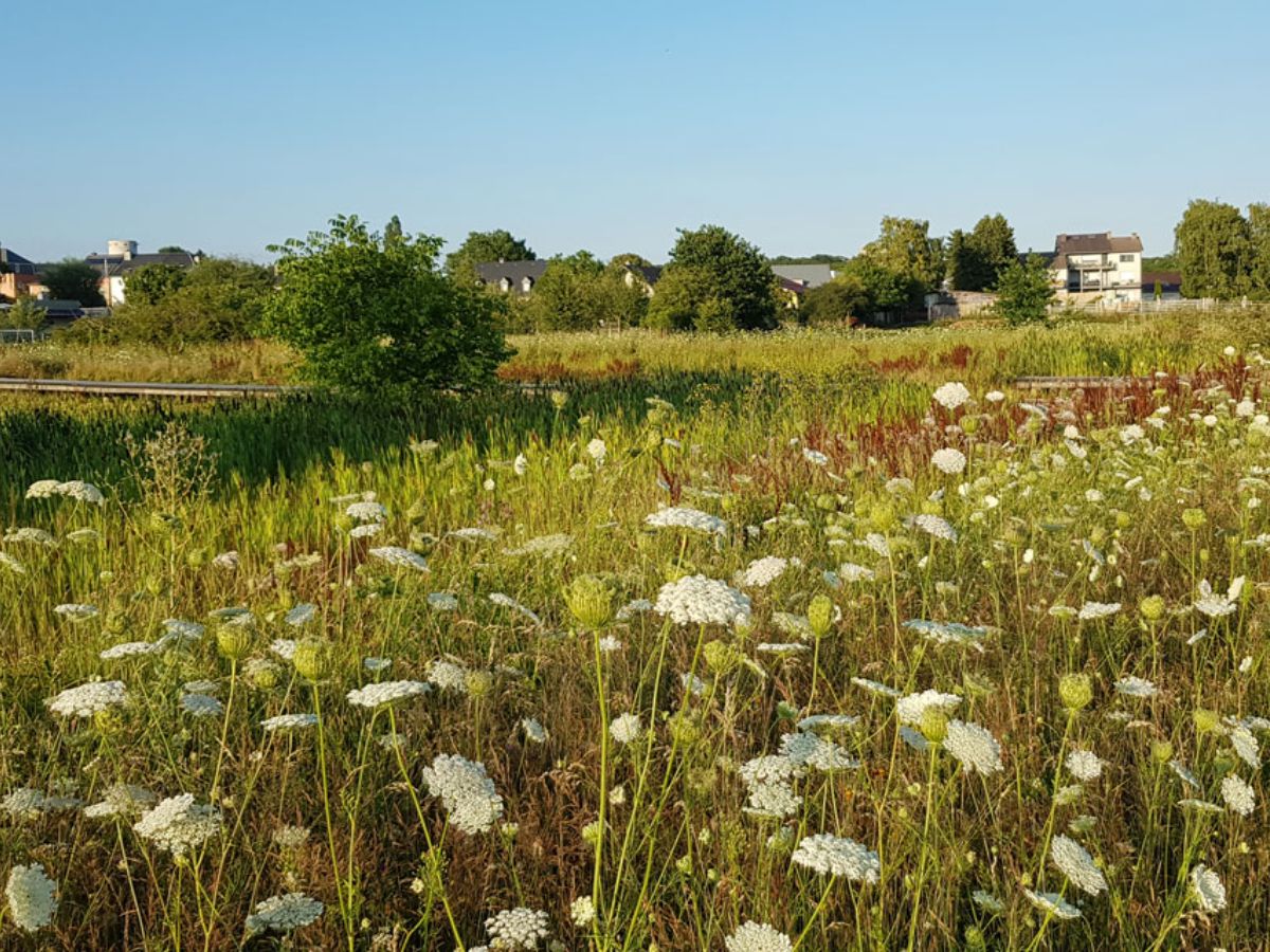 Parc Krakelshaff à Bettembourg