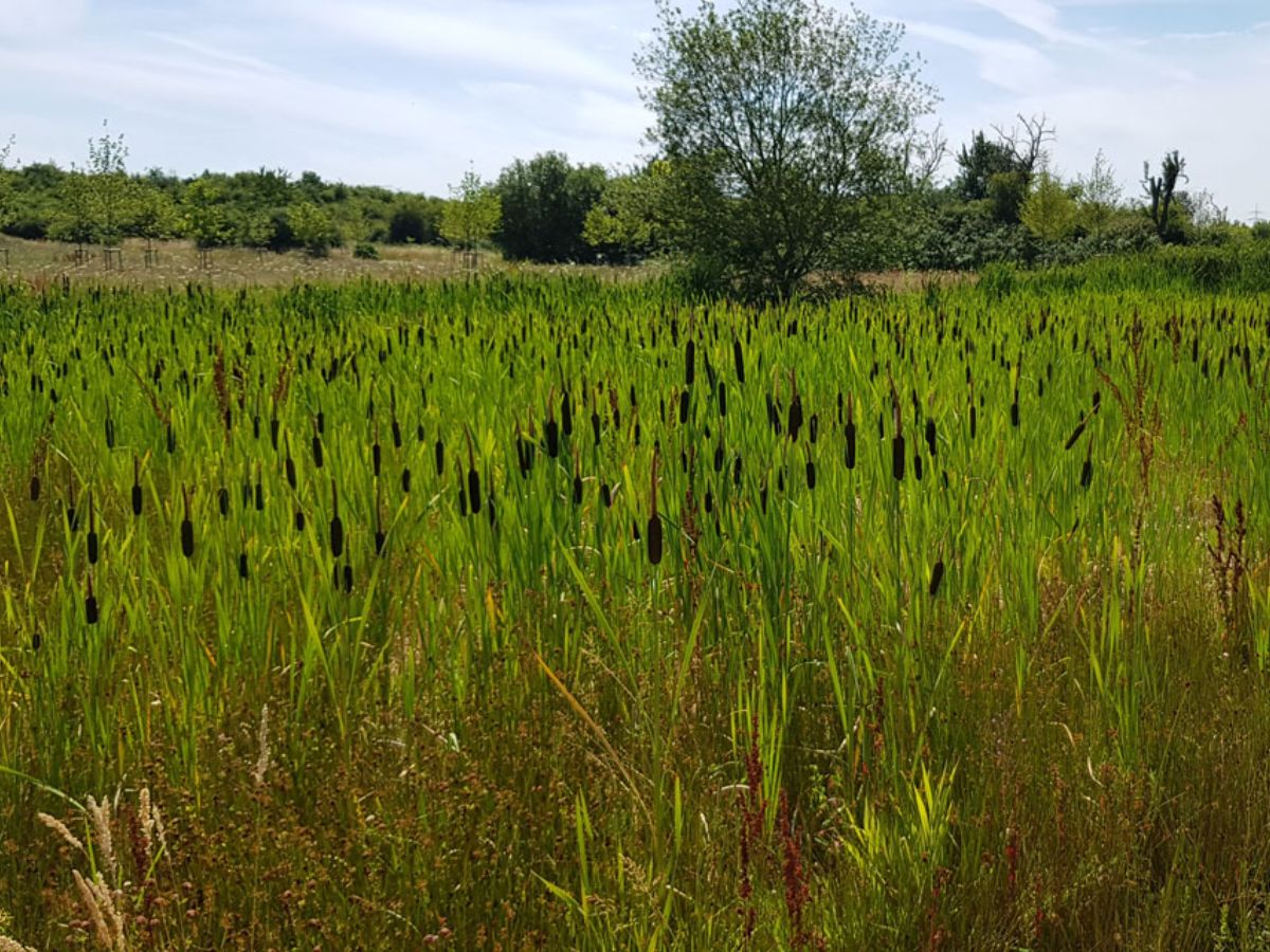 Parc Krakelshaff à Bettembourg