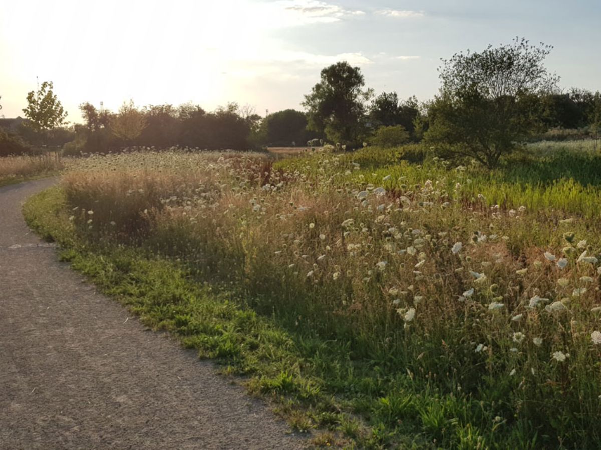 Parc Krakelshaff à Bettembourg