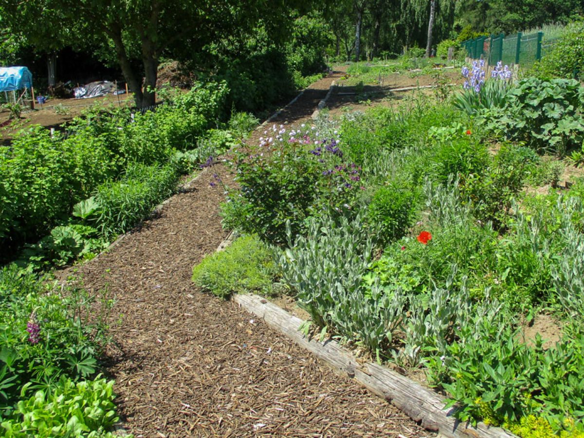 Jardin commun à Luxembourg