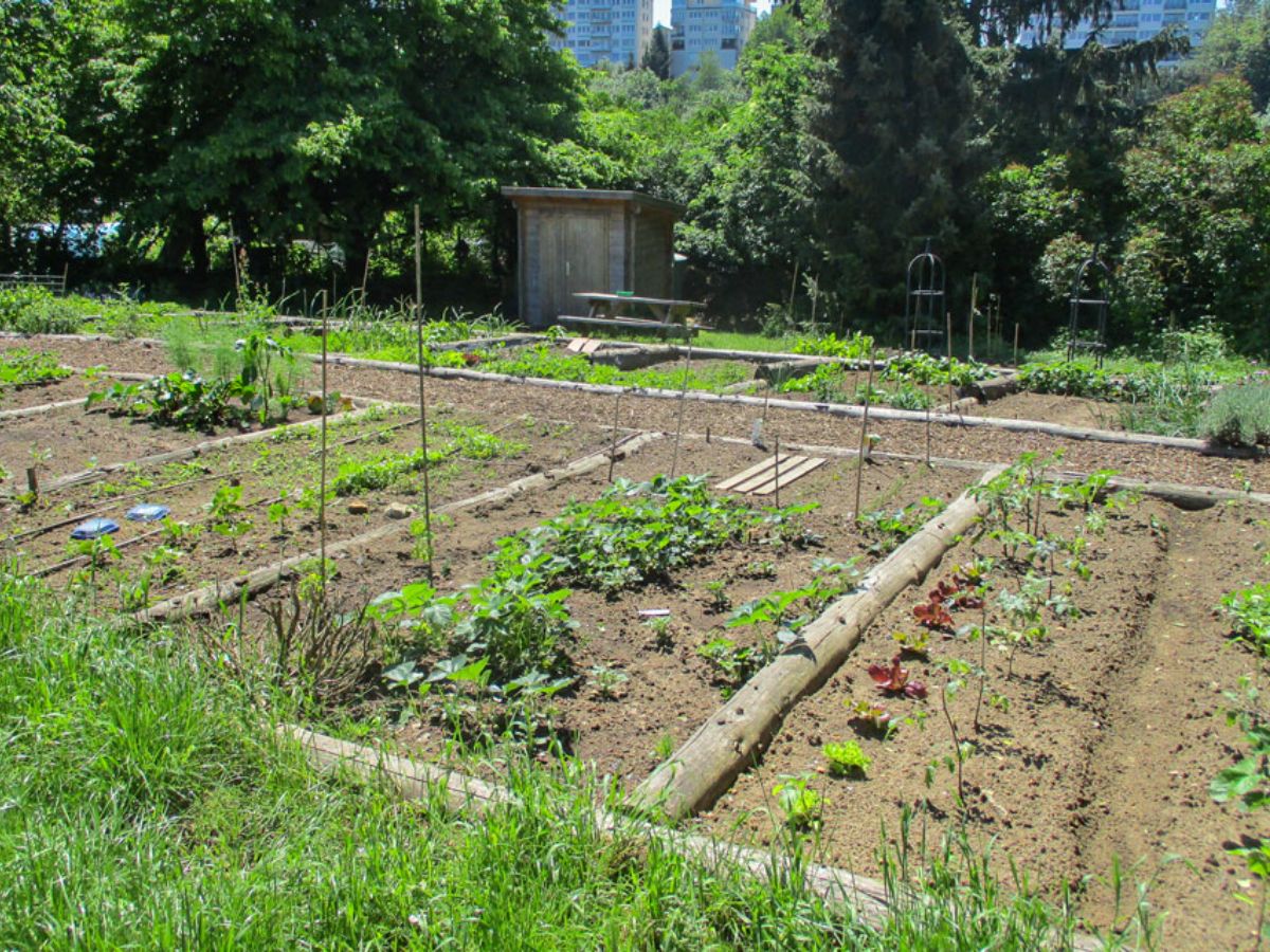 Jardin commun à Luxembourg