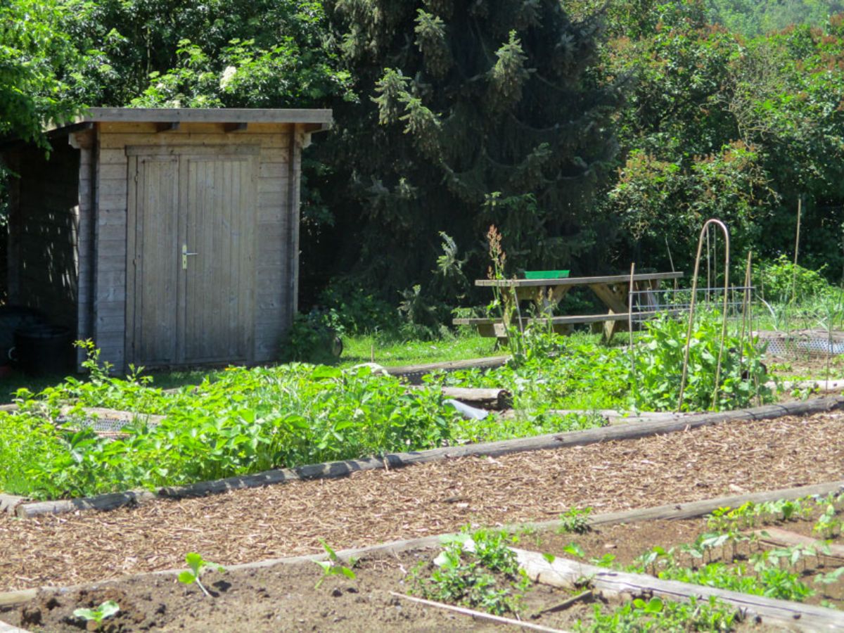 Jardin commun à Luxembourg