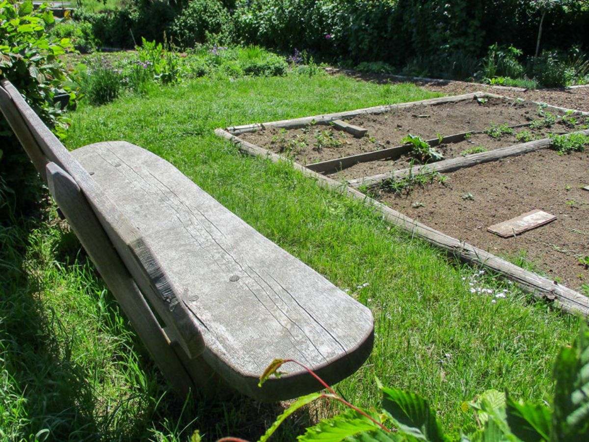 Jardin commun à Luxembourg
