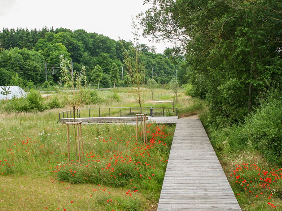 Lycée Ermesinde à Beringen Mersch