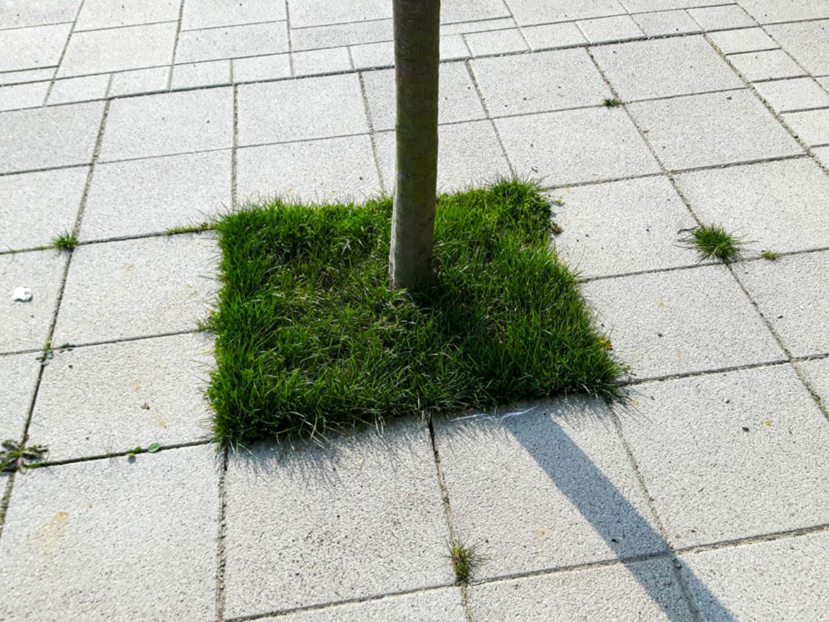 Maison relais à Niederanven