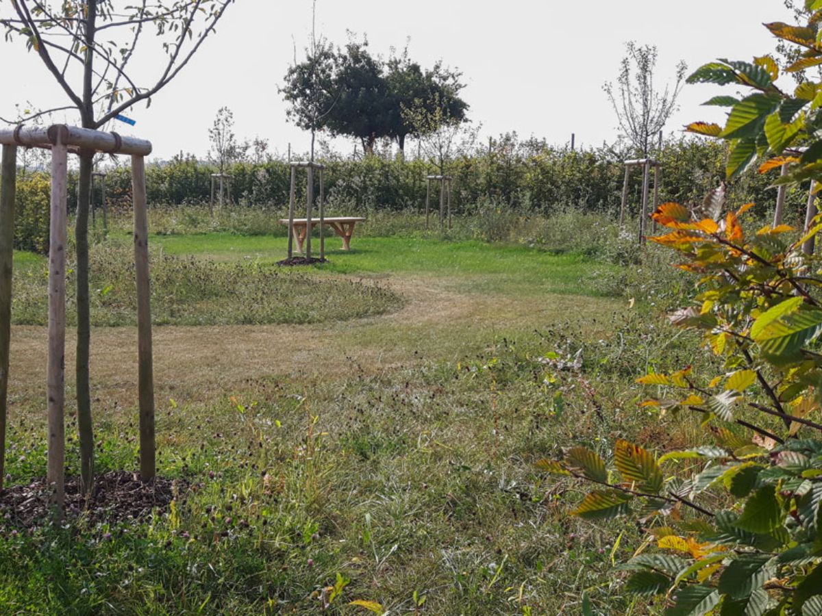 Maison relais à Niederanven