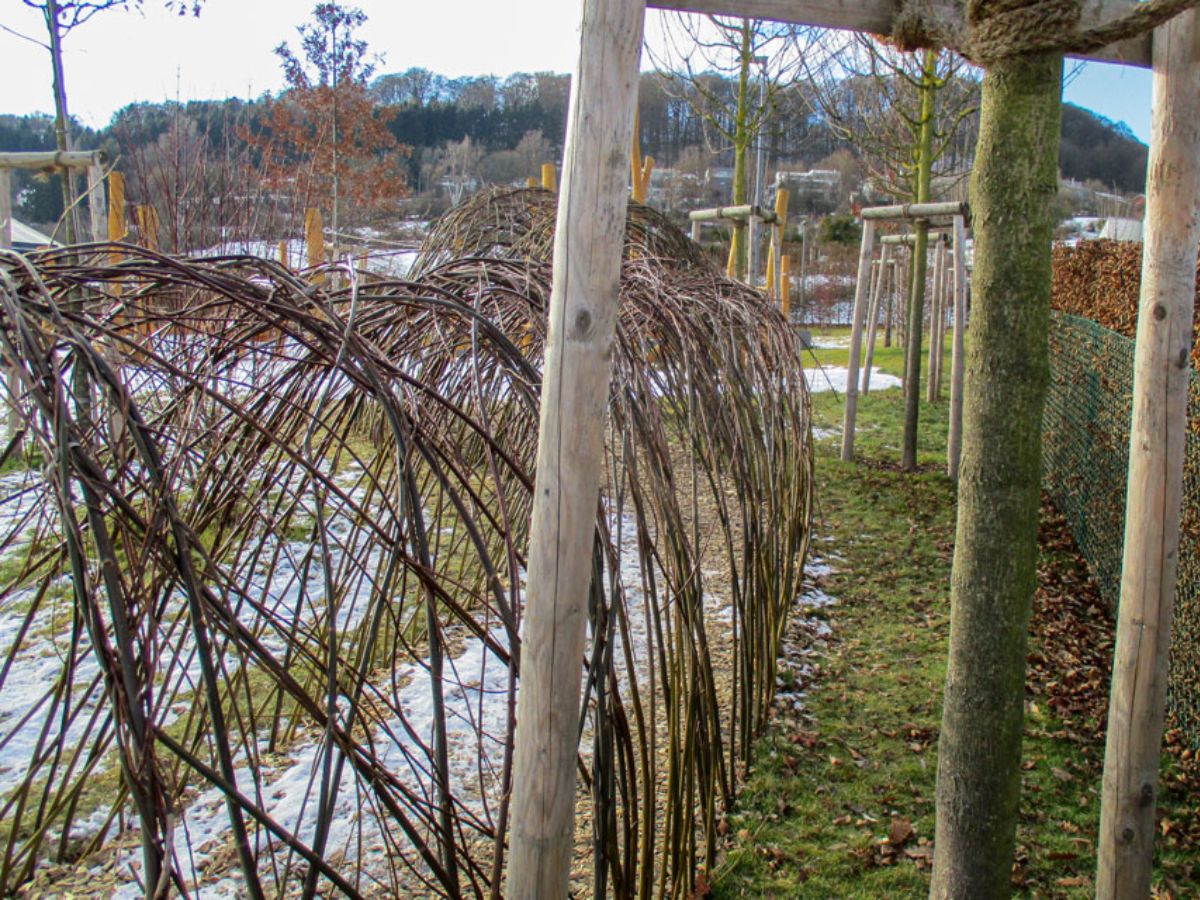 Maison relais à Niederanven