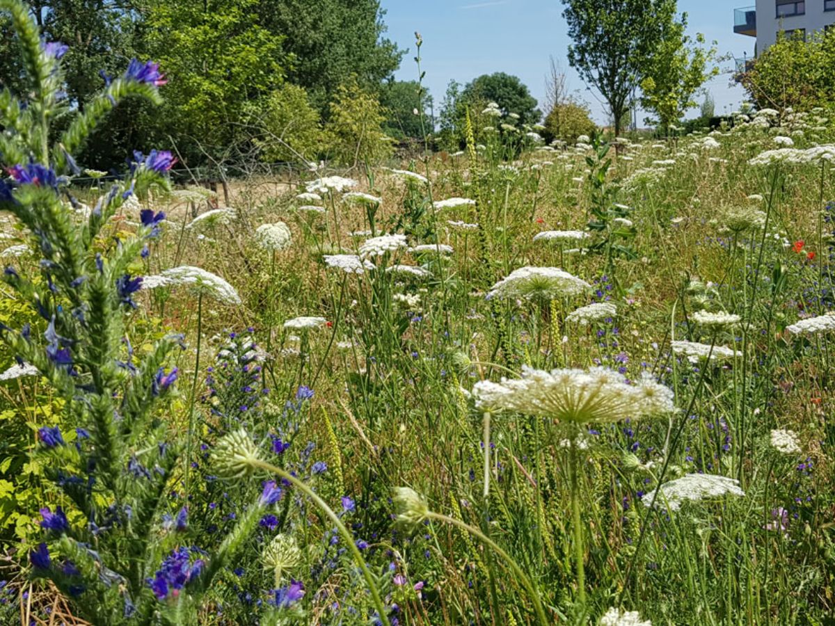 Parc Klenschenhaff à Bettembourg