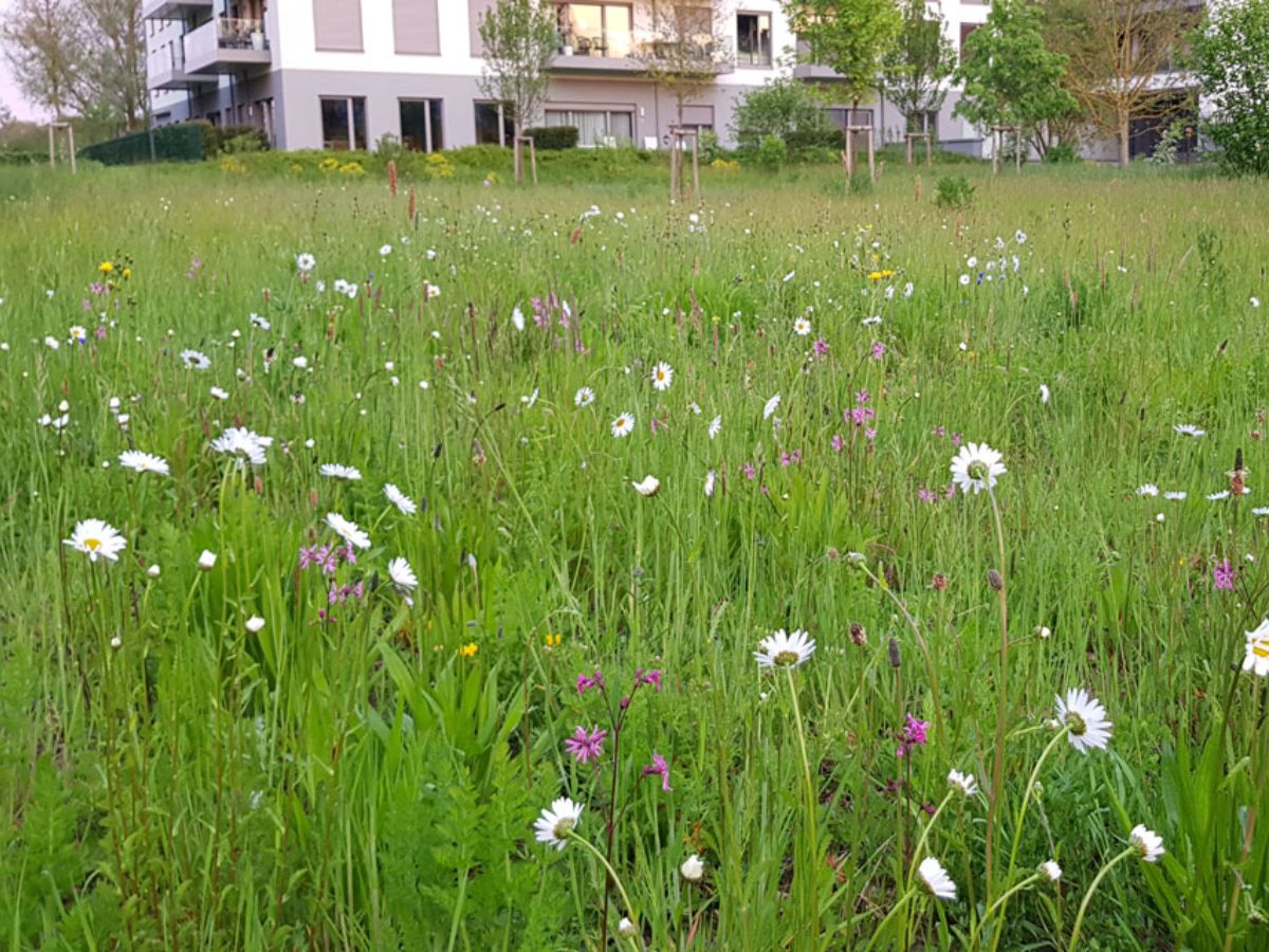 Parc Klenschenhaff à Bettembourg