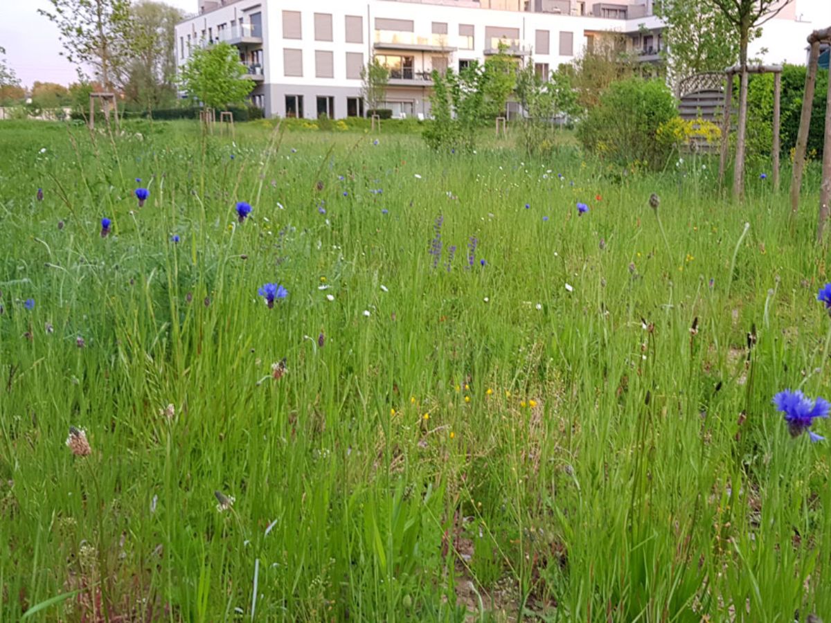 Parc Klenschenhaff à Bettembourg