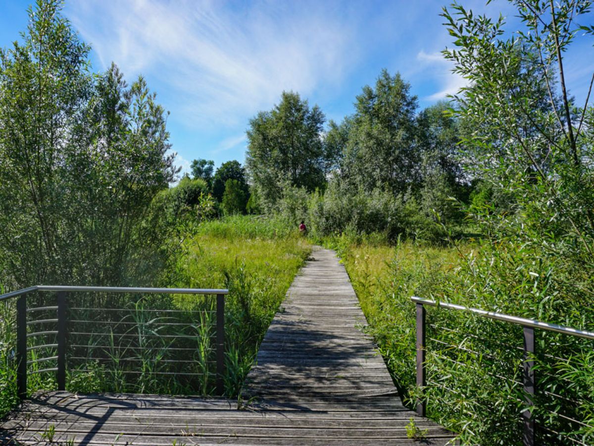 Parc communal à Mersch