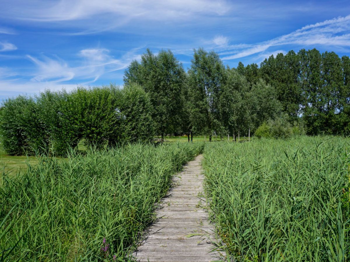 Parc communal à Mersch