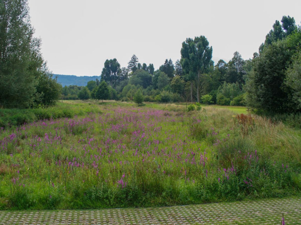 Parc communal à Mersch