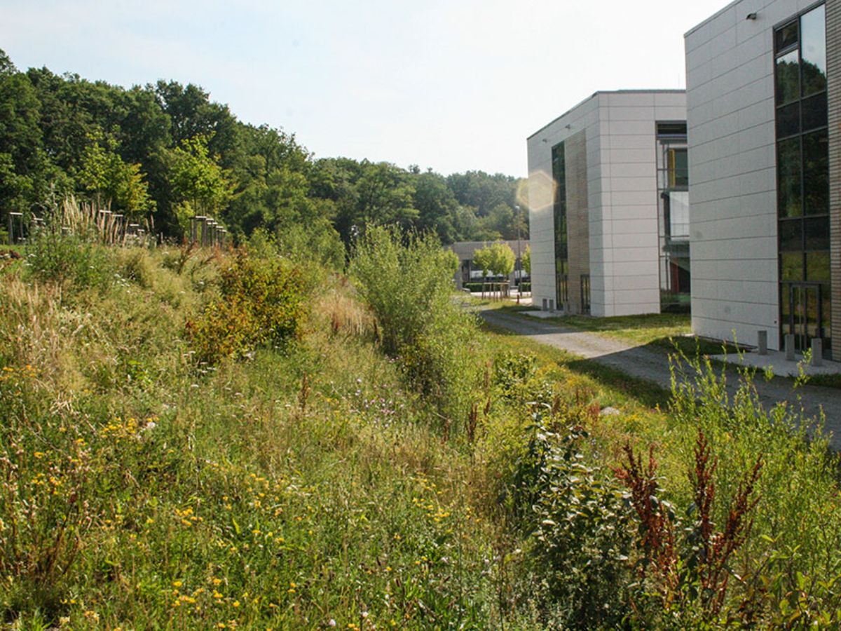 Atert Lycée à Redange