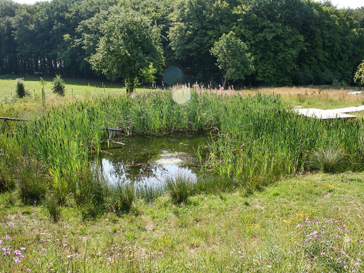 Atert Lycée à Redange