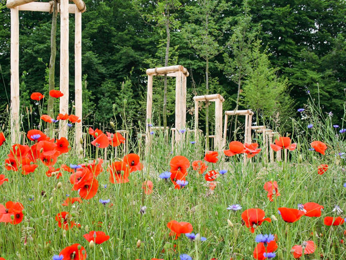 Atert Lycée à Redange