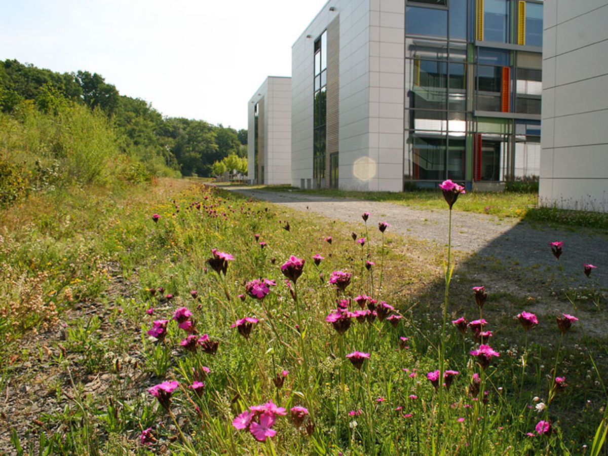 Atert Lycée à Redange