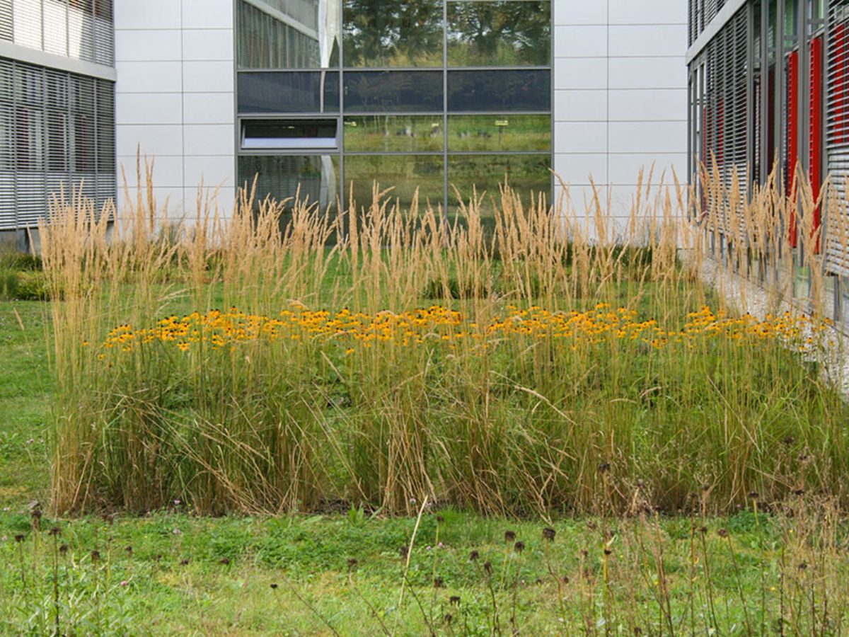 Atert Lycée à Redange