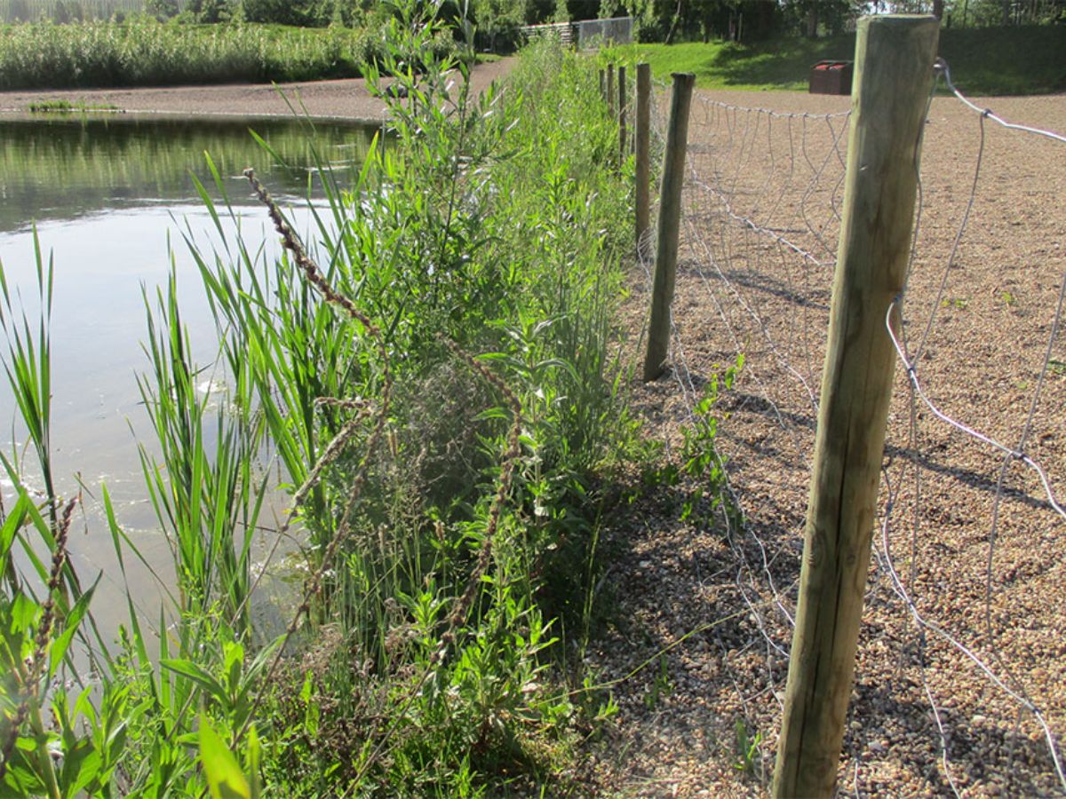 Lac de baignade à Haff Réimech