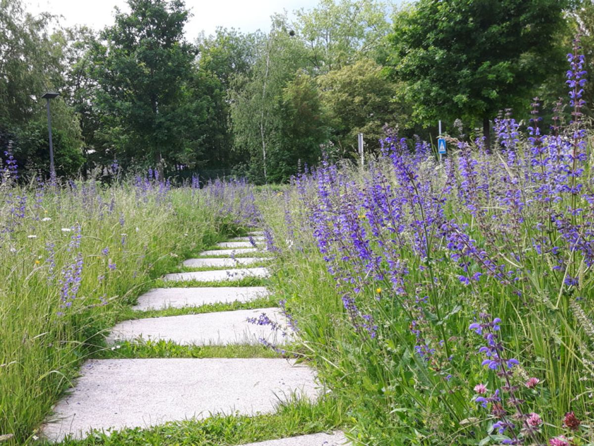 Place Maria Klein à Roodt/Syre