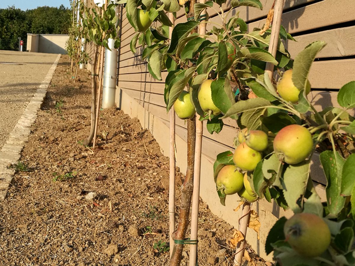 Centre scolaire à Rosport